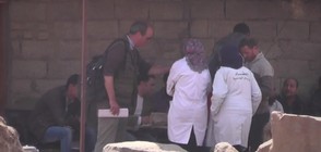 В Египет откриха останки от статуи на над 3000 години (ВИДЕО)