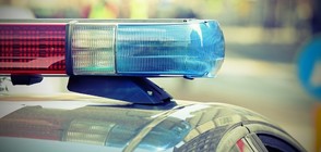 Европол: 5000 престъпни групировки действат в Европа