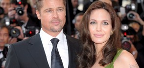 Анджелина Джоли и Брад Пит продават зехтин