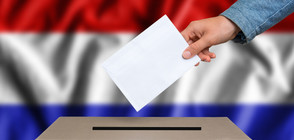 Холандците гласуват на парламентарни избори