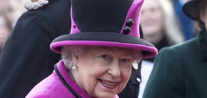 Как е изглеждала кралица Елизабет Втора като млада? (ГАЛЕРИЯ)