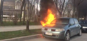 Няколко коли изгоряха в центъра на София (ВИДЕО+СНИМКИ)