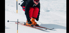 Принц Уилям понася критики заради ски ваканция (ВИДЕО+СНИМКИ)