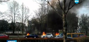Кой и защо запали автомобили в центъра на София?