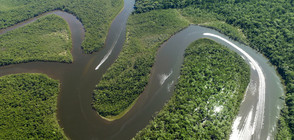 Река Амазонка е на поне 9 милиона години (ВИДЕО+СНИМКИ)