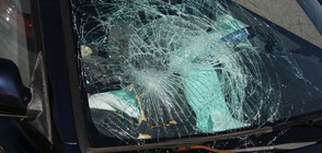 Няколко коли осъмнаха със счупени стъкла в София