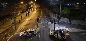Какво знаем за извършителя на терористичния акт в Лондон? (ВИДЕО)
