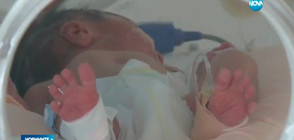 Художници подават ръка на недоносените бебета (ВИДЕО)