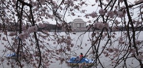 Пролет във Вашингтон