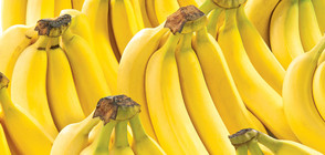 Японска фирма пусна банани с ядливи кори