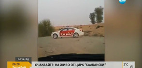 "Смразяващи" мерки в ОАЕ за ограничаване скоростта на пътя (ВИДЕО)