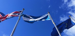 Шотландският парламент подкрепи нов референдум за независимост