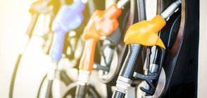 Реални ли са цените на горивата?