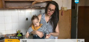 МЕЧЕШКА УСЛУГА: Защо се отпускат общински жилища, в които не може да се живее? (ВИДЕО)