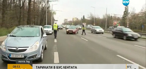 В БУС ЛЕНТАТА: Колко са глобените? (ВИДЕО)