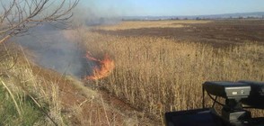 Пожар в района на Елин Пелин (ВИДЕО)