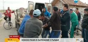 "Пълен абсурд": Конско рали и състезание с гълъби в Пазарджик (ВИДЕО)
