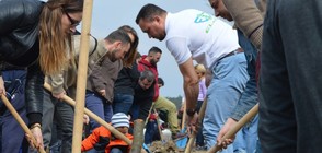 Засаждат десетки хиляди дръвчета в София в рамките на Национална залесителна кампания – пролет 2017