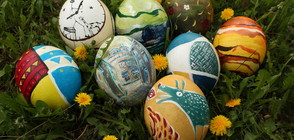 Зоологическата градина с благотворителен търг с изрисувани щраусови яйца