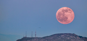 Тази нощ ще видим „розова Луна”