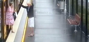 В Сидни разпространиха шокиращи кадри как деца падат под влакове (ВИДЕО)