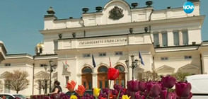 Криза за юристи в парламента