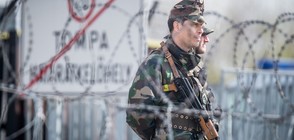 Разбиха сръбска група за трафик на мигранти от България