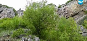 "ОПОЗНАЙ БЪЛГАРИЯ": Разходка с Боян Петров във Врачанския Балкан (ВИДЕО)