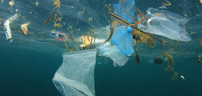 Как можем да спестим на природата тонове опасен отпадък?