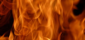 Пожар избухна в бившия дом на Елвис Пресли