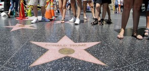 Надраскаха звездата на Тръмп в Холивуд (СНИМКА)