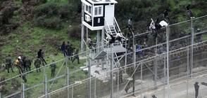 Жена загина в блъсканица на граничен пункт между Мароко и Испания