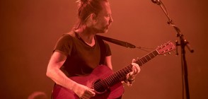 Десетки артисти призоваха Radiohead да отменят концерт в Израел