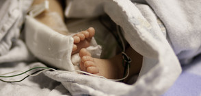 Учени създадоха пластмасова утроба за недоносени бебета