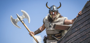 Новооткрит музей развенчава митовете за викингите