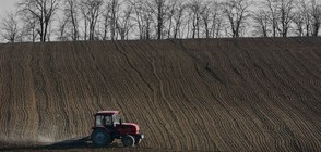 Отново се бавят парите на биоземеделците