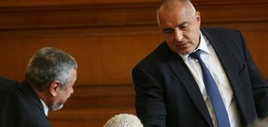 Социолог: Борисов се прави на десен, но е центрист