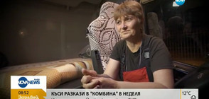 Историята на Йонка, която кара тир (ВИДЕО)