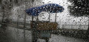 Ураган уби 15 души в Индия