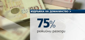 Българите харчат 75% от парите си за битово оцеляване