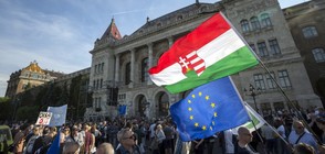 Хиляди на протест в Будапеща (ВИДЕО)