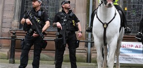 СЛЕД КЪРВАВАТА АТАКА: Трима арестувани за терористичния акт в Манчестър (ВИДЕО)