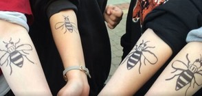 Защо жителите на Манчестър си татуират пчели? (ВИДЕО)