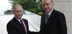 Путин и Ердоган: Русия и Турция ще разширят партньорството си