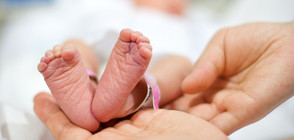 НОВА МОДА: Партитата за обявяване на пола на бебето - все по-ненормални (ВИДЕО+СНИМКИ)