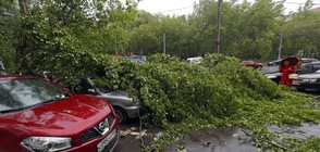 УРАГАН В МОСКВА: Броят на жертвите достигна 11 души (ВИДЕО+СНИМКИ)