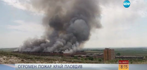 Две села са обгазени от пожара край Пловдив (ВИДЕО)