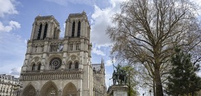 Стрелба в центъра на Париж, блокада на катедралата "Нотр Дам" (ВИДЕО+СНИМКИ)