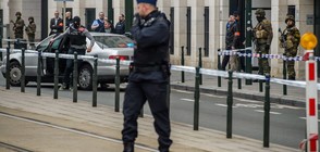 В Брюксел задържаха 12 души заради атентатите от март 2016 година