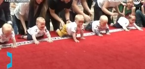 ГОНКА: Пеленачета в надпревара за "най-бързо" бебе (ВИДЕО)